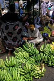 Archipel-des-Comores;-Bananes;-Commerce;-Femme;-France;-Fruits;-Kaleidos;-Kaleidos-images;-La-parole-à-limage;-Laurent-Abad;-Marché;-Mayotte;-Msindzano;-Océan-Indien;-Régimes;-Stories-Pictures